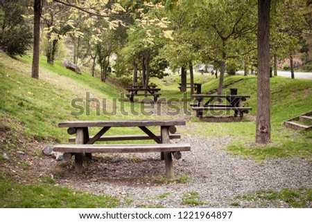 Natural landscape with picnic area in nature, with green grass.