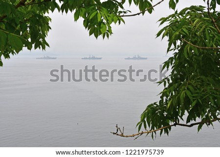 Russia, Vladivostok, view of warships through the foliage in cloudy weather