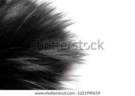 Black and gray fur on a white background