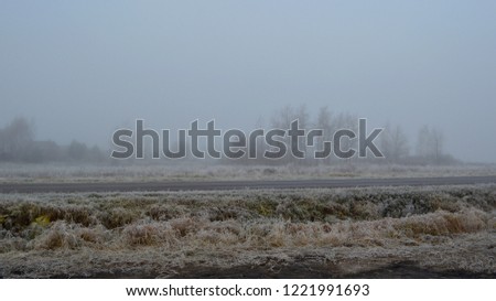 A view on a countryside farm road, the frozen grass and silhouetted trees in the field on a foggy and misty morning