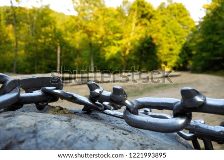 Chains on the forest wheel
