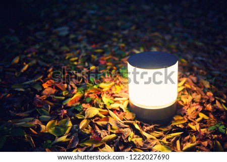 Light Bulb On Autumn Season Background , Concept Of Creativity , Vintage Effect Tone.
