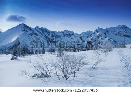 Mountain landscape in winter in fog and in the sun