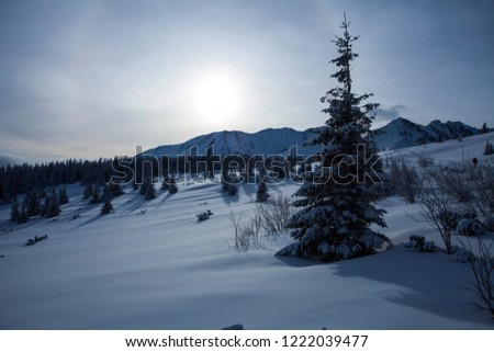 Mountain landscape in winter in fog and in the sun