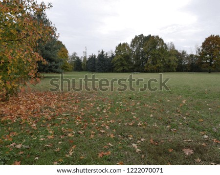 Autumn Colors in a Public Park. Fall. Autumnal Foliage.