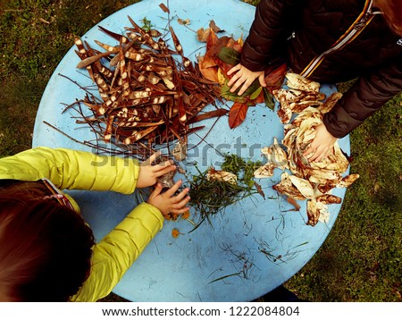little children playing, expolring and gardening in the garden with soil, leaves, nuts, sticks, plants, seeds during a school activity - learning by doing, education and play in the nature concept.

 Royalty-Free Stock Photo #1222084804