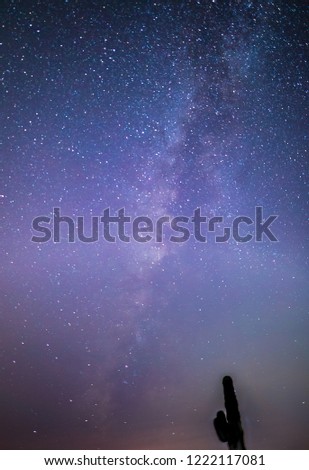 The Milky way in a dark desert night sky with silhouette of Saguaro cactus. Other stars brightly shine in this beautiful picture of our galaxy and our earth