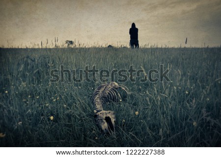 A skeleton of a sheep in a field with the silhouette of a hooded figure in the background. With a vintage, grunge edit.