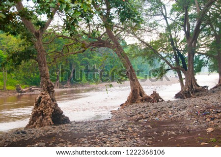 A small river in the forests of India, landscape with forest and river.