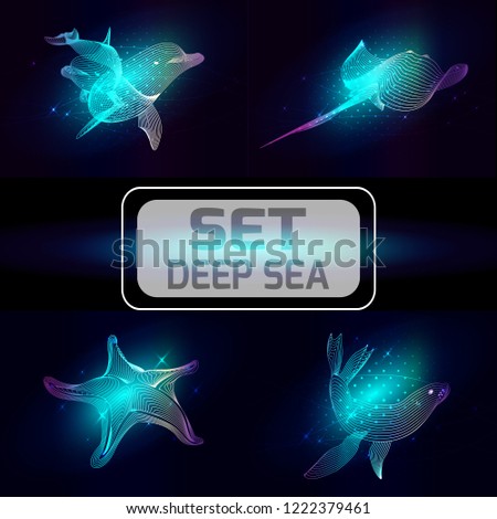 Set marine animals. Vector illustration. The   starfish, seal, dolphin, cramp consist of lines.Digital elements design  for business cards, invitations, gift cards, flyers and brochures, web.