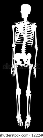 illustration with silhouette of human skeleton isolated on black background