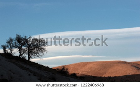 cloudy blue sky and nature