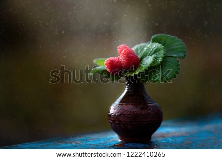 Raspberry branches in a dark vase on a blue bokeh background