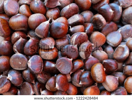 Chestnut background. Can be used for design, websites, interior, background, backdrop, texture creation, the use of graphic editors, illustration, to create seamless textures.