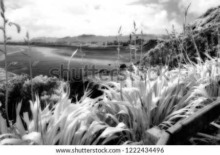 Infrared image of Muriwai beach New Zealand in the evening
