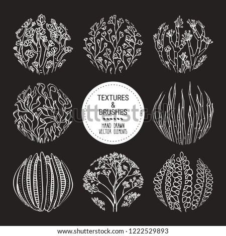 Floral round textures, subtropical plant ornaments. Botanical design elements for organic branding, invitation, greeting card, floral stickers and prints. Hand drawn subtropical patterns vector set.