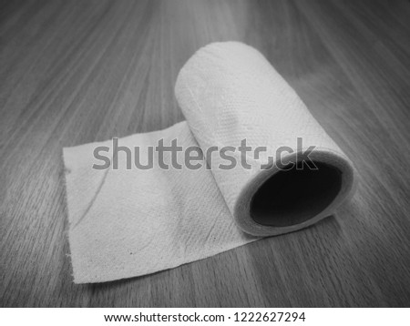 the toilet paper