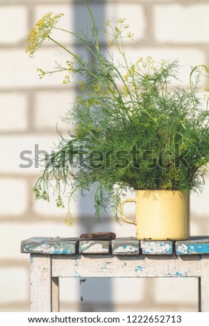 Bunch of dill in old yellow cup on vintage wooden table. Outdoor, sunny autumn day. Shallow depth of the field.