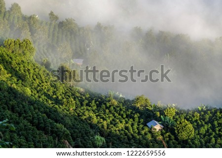 Landscape scenery beautiful clouds in Vietnam
