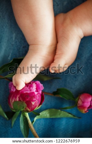Little sweet feet of a newborn baby on a blue background with peony flowers around. Close up, copy space, macro.