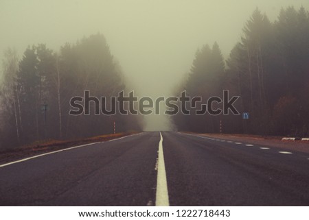 the mystic foggy road