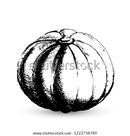 A hand drawn pumpkin sketch isolated on white. Black pumpkin doodle style. Thanksgiving day or harvest theme vector illustration. Easy to edit element of design. 