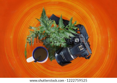 top view white mug and dslr camera against green leaf on top of the wooden table background with blurry background