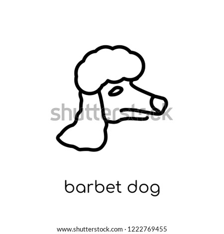 Barbet dog icon. Trendy modern flat linear vector Barbet dog icon on white background from thin line dogs collection, editable outline stroke vector illustration
