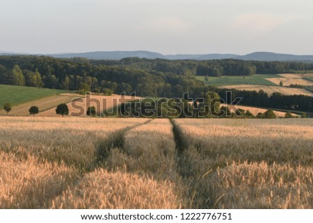 Farmland in Muespach France