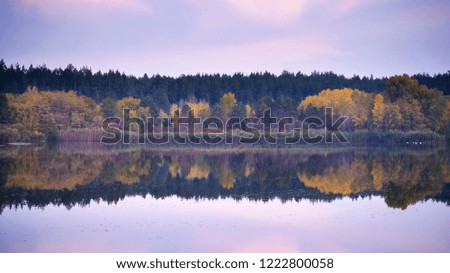 lake with mirror surface in autumn evening and pink clouds