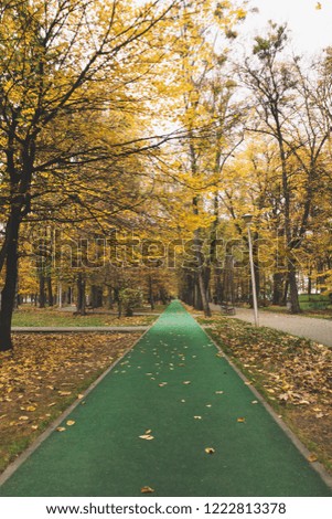 Jogging trail in the city park