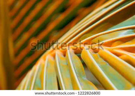 Autumn hued palm leaves
