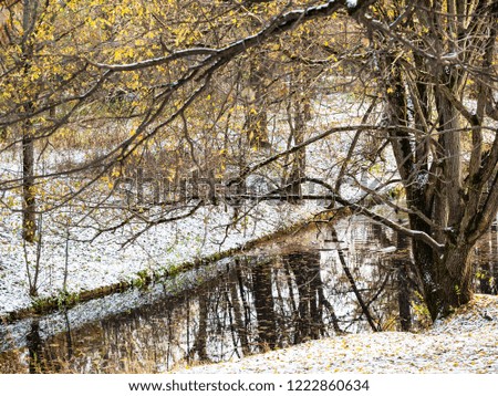 tree branches over forest river in urban park covered by the first snow in autumn day
