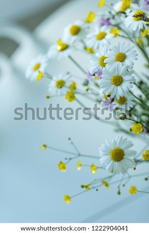 A multi-colored meadow flower in a vase, on a white table, in a beautiful white room