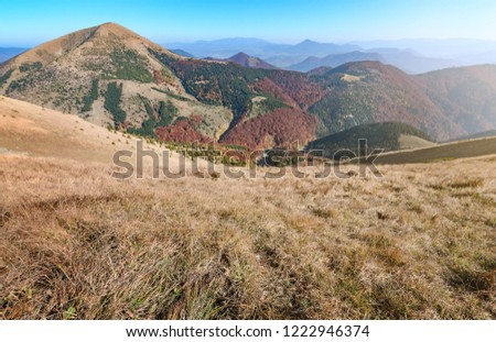 View the meadows in The Vratna valley at the national park Mala Fatra, Slovakia. Autumn.