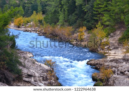 A bright blue winding river with small white rapids surrounded by large stones and tall green and yellow trees. Taken at Koprulu Canyon in Antalya, Turkey.