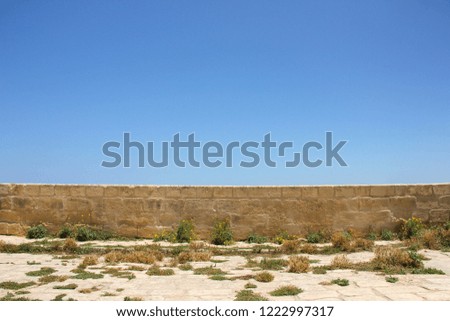 Old low brick wall with scarce grass ans small yellow flowers under blue sky with no cloud