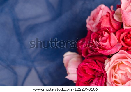 Pink and red flowers on blue background