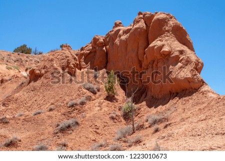 Landscapes and Desert Scenes in the Parks of Utah, including Bryce, Arches, Moab, Kodachrome Basin, Dead Horse and Red Rock