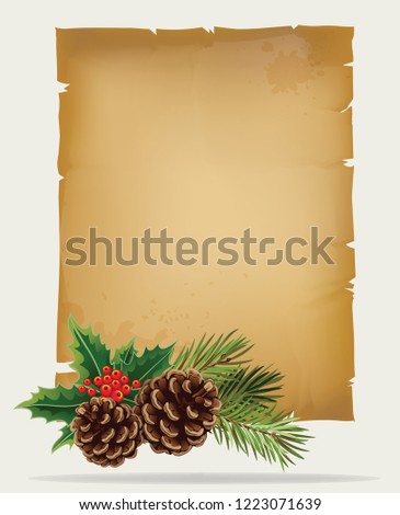 Vector branch of Christmas tree with pine cone and old paper scroll