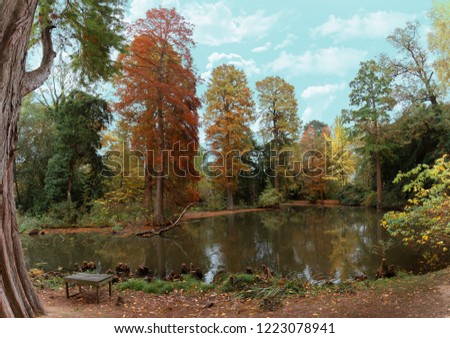 Autumn Lake Trees in Germany