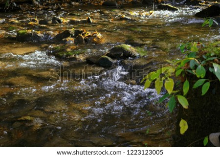 Mountain Stream in Fall. Blue Ridge Mountains pictures