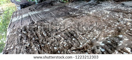 Rock with grooved white speckled texture close up. Years of rain & erosion have caused thin brittle white pockets & deep smooth grooves in the  mountains exterior. Phu Foi Lom, Udon Thani, Thailand 