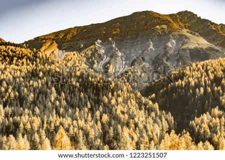Beautiful, sunny and nostalgic autumn day in Swiss and Italian alps with yellow colored trees