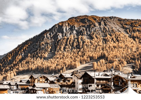 View on the city of Livigno in Italy which is located in the Alp valley; sunny autumn day with wonderfully colored trees