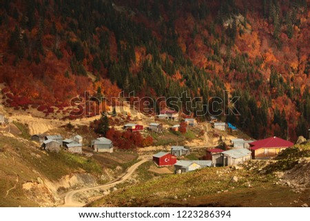 The most beautiful colors of autumn./Artvin /Borçka/Turkey