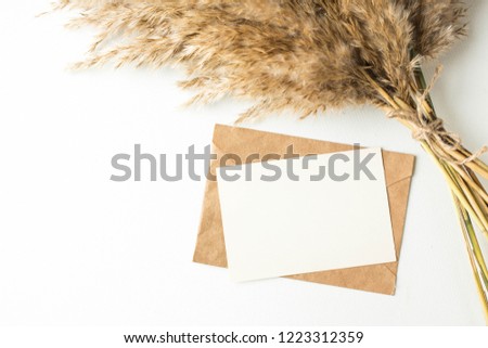 Minimalistic card mockup with reed flower, craft envelope, blossom, flat lay, top view
