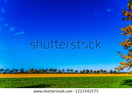 Blue sky with nice autumn colors of the lea and trees on horizon near lake Balaton, Hungary