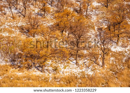 Beautiful winter landscape, background - forest on a snowy mountainside