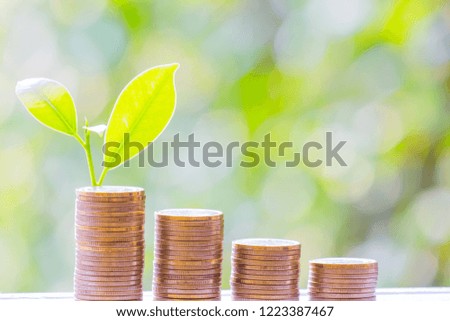 Business Finance and Money concept, Money coin stack growing graph with green tree bokeh background,investment concept